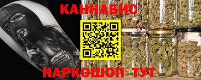 гидра Моздок