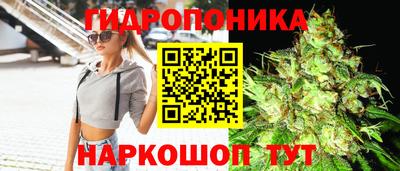 гашик Можайск