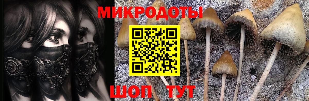 наркота  Вход с VPN  Унеча  Галлюциногенные грибы мицелий 