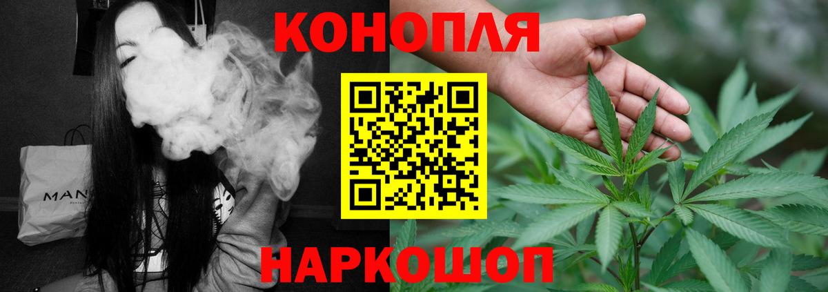 Каннабис сатива  Вход с VPN  Унеча  Бошки марихуана планчик 